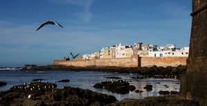 Day 13 : Essaouira (Riad)