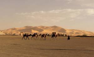 Day 3 : Sahara desert (Berber tents)